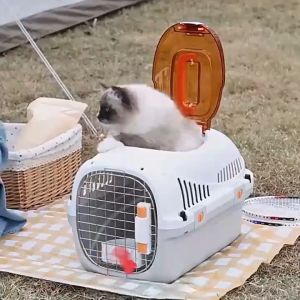 Foldable Airline Approved Cat Carrier Lightweight Spacious for Easy Pet Carrying