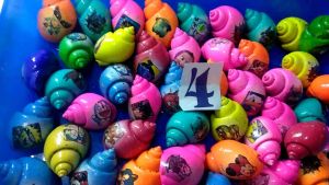 cangkang kelomang warna / 100 pcs
