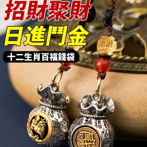 Fortune Gathering Zodiac Money Bag for All Adults and Collectors Year-round Red Copper Auspicious Patterns Evil-Repelling