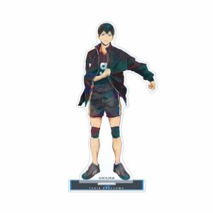 YF Haikyuu action figure Peripheral Anime Acrylic Hinata Shoyo Tsukishima Kei 16CM Model Toy Decoration gift FY