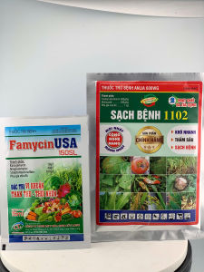 Thuốc trừ bệnh thối nhũn trên cây Hành