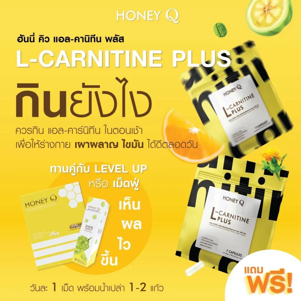 l carnitina funciona para emagrecer L-carnitina queima gordura abdominal? O que  e como tomar