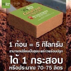 ขุยมะพร้าวอัดก้อน Grow Plus coco peat 5 kg. (70-75 ลิตร) ล้างสารแทนนิน ปลอดเชื้อ (ส่งจากบางบอน)