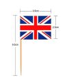 100pcs Tusuk Gigi Bendera Negara Dekorasi Bendera Tusuk Gigi Tusuk Bendera Untuk Pesta Perayaan. 