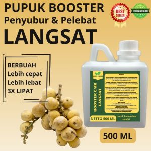 Pupuk Pelebat Langsat / Pupuk Buah Langsat / Pupuk Booster Langsat / Pupuk Langsat