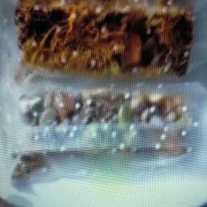 Thanh Gạo Lứt Ngũ Cốc Hạt Sấy mix Chà Bông lá rong biển Nhiều Dinh Dưỡng Ăn Kiêng giảm cân dễ ăn