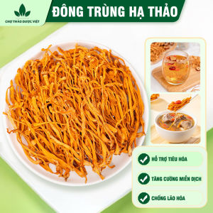 Đông trùng hạ thảo 100g trà đông trùng sợi vàng khô thơm dùng pha trà chưng yến nấu lẩu hầm canh