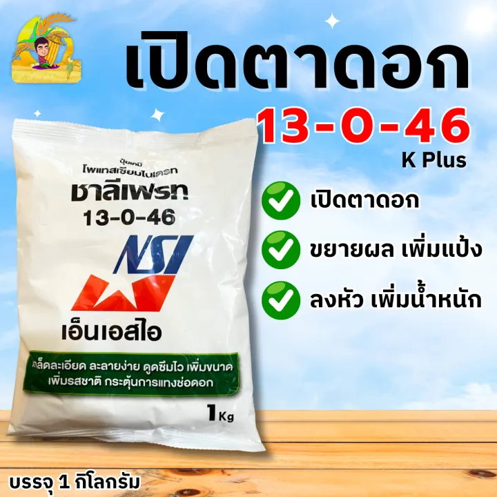 5 อันดับปุ๋ยเกล็ด 13-0-46 ยี่ห้อไหนดี? เร่งดอก เร่งผล เพิ่มน้ำหนัก ปี 2025