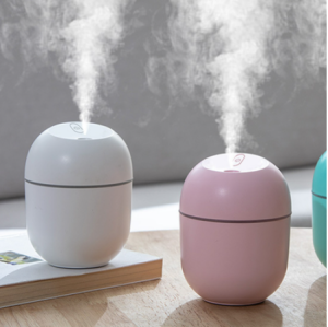 [DuoDuo]Mini 220ML desktop USB humidifier Household car hydrator night light