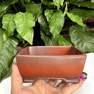 Chậu chữ nhật trồng sen đá xương rồng bonsai trang trí  không gian