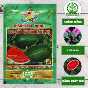 (Gói 20gr) Hạt Giống Dưa Hấu Mỹ Nhân Lai F1 979 THÀNH ĐẠT NÔNG (Vỏ sọc)