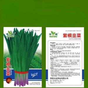 Kualitas Tinggi Benih Bawang Prei 3Pack / Tahan Dingin Yang Kuat / Pertumbuhan Cepat