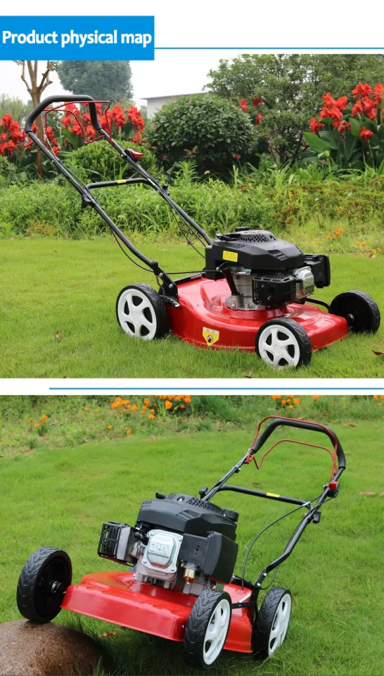 Grass Cutter Gasoline Original Grasscutter Stroke Sale Lawn
