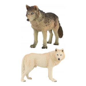 Authentic Wolf Figure Model For Nature Science Education And Collectors Display In Safe Plastic Exhibition Model