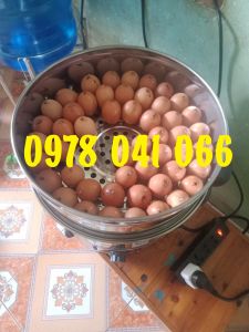 Nồi hấp trứng nướng chạy điện đường kính 40cm