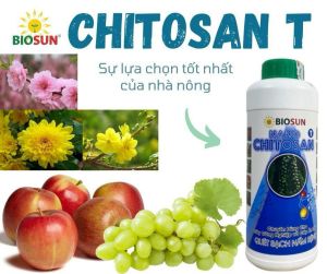 Nano Chitosan BioSun 5% 500ml – Chế Phẩm Sinh Học Cho Cây Công Nghiệp & Ăn Trái Giúp Phòng Nấm Hại