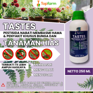Obat Hama Kaktus / Obat Kaktus Dan Sukulen / Obat Pupuk Untuk Kaktus Sukulen / Obat Kaktus / Obat Hama Organik Cair Kaktus / Obat Hama Tanaman Hias Kaktus Sukulen