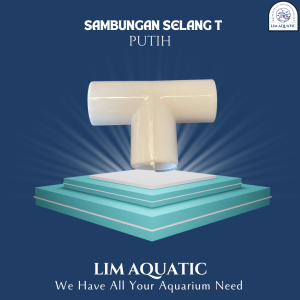 (T PUTIH ) SAMBUNGAN T PIPA AQUARIUM / T PIPA AQUARIUM / SAMBUNGAN PIPA 5/8