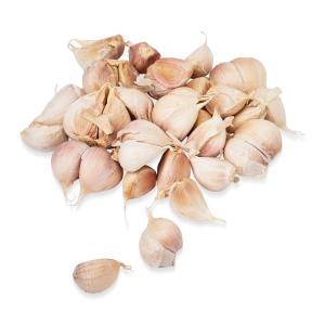 Old Garlic Cloves