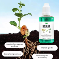 Plant Restoration Fluid Mild and Safe Botanical Flower Resurrection Solution Nourish. 