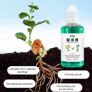 Plants and flowers resurrection solution magic tool