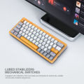 Armaggeddon GMK-100 RGB Gasket Mechanical Keyboard | 3 Modes | 2.4G Wireless | BT 5.0 | HotSwappable Lubed Switches. 