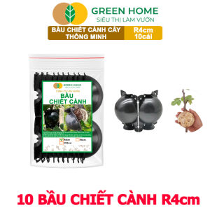 10 Bầu Chiết Cành GreenHome Dụng Cụ Làm Vườn Ra Rễ Cao Chống Úng Cành Chiết Độ Bền 2 Năm