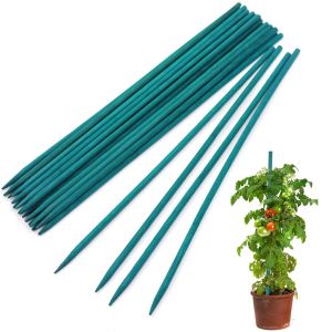 NOBLELYN 10/30pcs Sturdy Flower Climbing Fixed Bracket Garden Trellis Bamboo Stick Plant Stakes Sticks Canes Green Plant Support