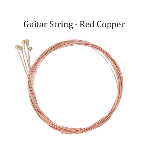 Guitar Strings for Acoustic Guitar RIXTON Premium Steel Phosphor Bronze (6 String Set) for Western Guitar & Acoustic Guitar