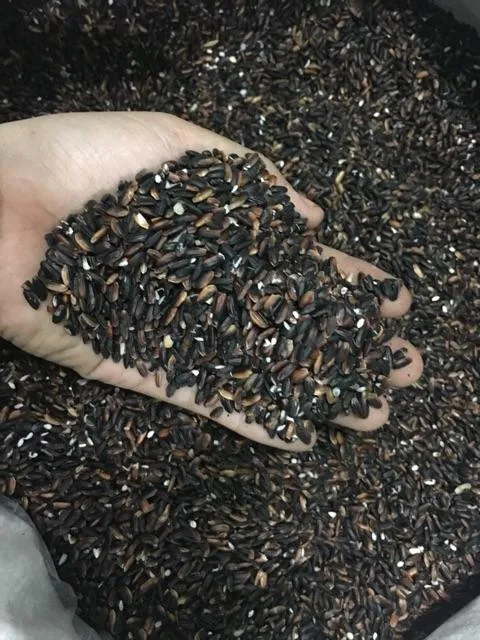 Gạo Nếp Cẩm Điện Biên 1kg