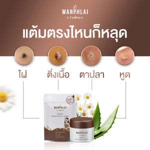 ผลิตภัณฑ์ไฝ ขี้แมลงวัน หูดตาปลาและติ่งเนื้อไฝ ขี้แมลงวัน แต้ม ทาไฝ ว่านไพล