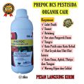 Pestisida Organik Cair 500m Obat Semprot Ampuh Atasi Hama Ulat Daun pada tanaman Anggur. 