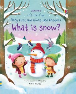 Usborne Very first questions and answers Series Lift-the-Flap Early Education English book Hard Cover Childrens book gift for preschooler reading