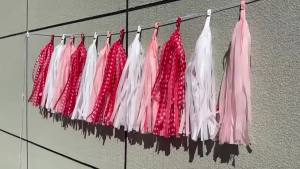 Strawberry-themed party decorations: string lights tassel curtains backdrop wall birthday party setup hanging paper tassels