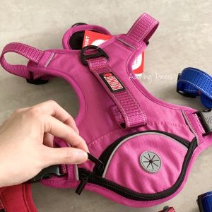 KONG Adjustable Pet Dog Pocket Waste Bag Durable Collar Padded Chest Customizable Harness Leash