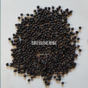 Buah Angkung Kering Obat Stroke & Darah Tinggi Isi 250 Bonus 15 Biji