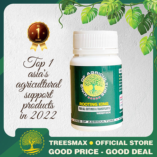 Rooting King Powder - New generation fertilizer, X3 power for plants ...