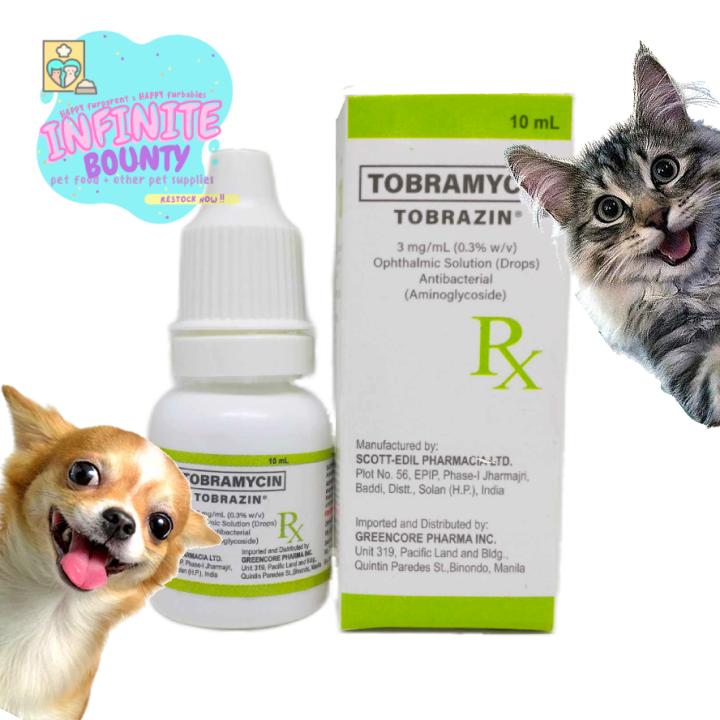 Tobramycin dexamethasone shop for dogs