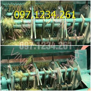 Máy nghiền lá sả BN500 tại Hà Tĩnh