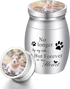 XIUDA 1.57 inches MiniMemorial Small Urns for Dog and Cat Ashes Stainless Steel Cremation Urn Pet Paw Print Keepsake Urn for Ashes - No Longer by My Side Forever in My Heart