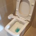 Vòi xịt rửa vệ sinh thông minh gắn bồn cầu Bidet công nghệ Hàn quốc, Thiết bị vệ sinh thông minh. 