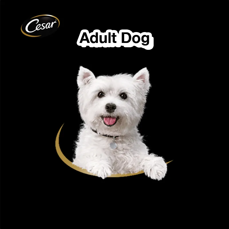 Cesar commercial dog best sale