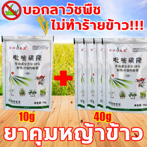 🌾วัชพืชในนาข้าวก็ตายไปหมดแล้ว🌾 ยาฆ่าหญ้าในนาข้าว ไม่ทำร้ายข้าว 10g ซื้อ1แถม4 ยาฆ่าหญ้าในนา 100ปีไม่มีวัชพืชขึ้นหลังใช้1ครั้ง ยาคุมหญ้าข้าว รายได้ข้าวเพิ่มขึ้น200% คุมฆ่าในนาข้าว ประหยัดข้าวจากวัชพืช สารกำจัดวัชพืชในนาข้าว ยาคุมหญ้าข้าว ยาฆ่าหญ้า
