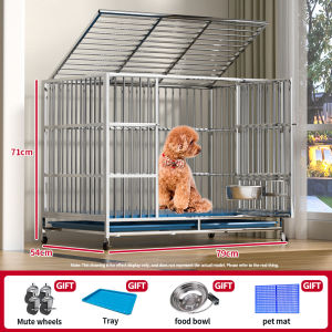 Dogelsy Stainless Steel Dog Cage with Mat Sangkar Anjing Large Dog Cage 不锈钢狗笼 dog house