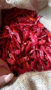 (500gram) CABE/CNGEK TEJA RAWIT KERING TANPA TANGKAI KUALITAS SUPER PEDAS POLL