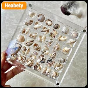 【2-3 ngày giao hàng】 Acrylic Từ Seashell Hiển Thị Hộp Seashell Rõ Ràng Sao Biển Đính Tổ Chức 36 64 100 Lưới Mini Seashell Lưu Trữ Hộp