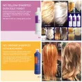 FANOLA No-Yellow Hair Treatment Purple Shampoo 350ml / 1000ml - Suitable for coloured, dyed, bleached hair ( No Yellow ) - TS Global Trading. 