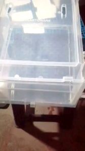 3pc Shoe Box Plastic Storage: Eco-Friendly & Compact Solutions