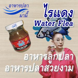 ไรแดง อาหารปลา UHT Fish Food อาหารปลากัด ปลาสวยงาม ไลแดงสด อาหารปลาหางยุง อาหารลูกปลา อาหารลูกปลากัด ไรแดงสด ไรแดงแช่แข็ง ไรแดงอัดเม็ด