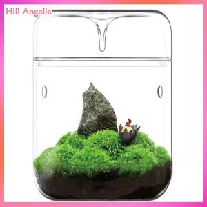 [Hill Angelia] Glass Bottles Creativity Dew Collection Glass Vase Micro Landscape Succulent Moss Landscape Glass Terrarium Home Decor